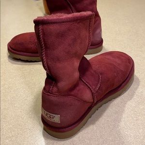 Maroon Uggs
